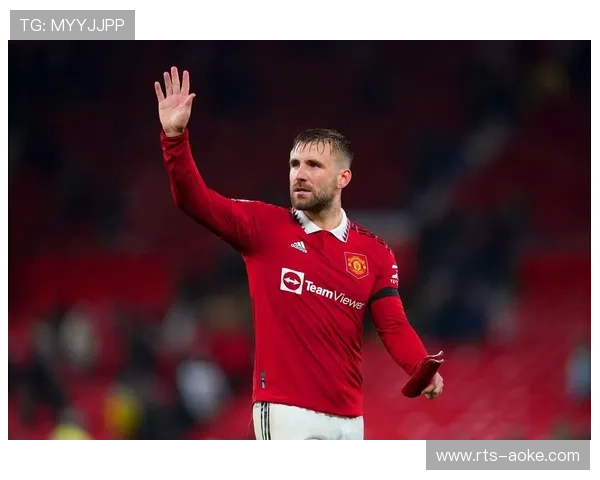 雨战之中卢克·肖失误酿失球,伯恩茅斯闪电反击得手 雨战之中卢克·肖失误酿失球,伯恩茅斯闪电反击得手